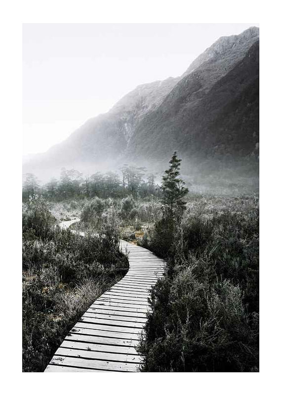 Plagát Boardwalk New Zealand