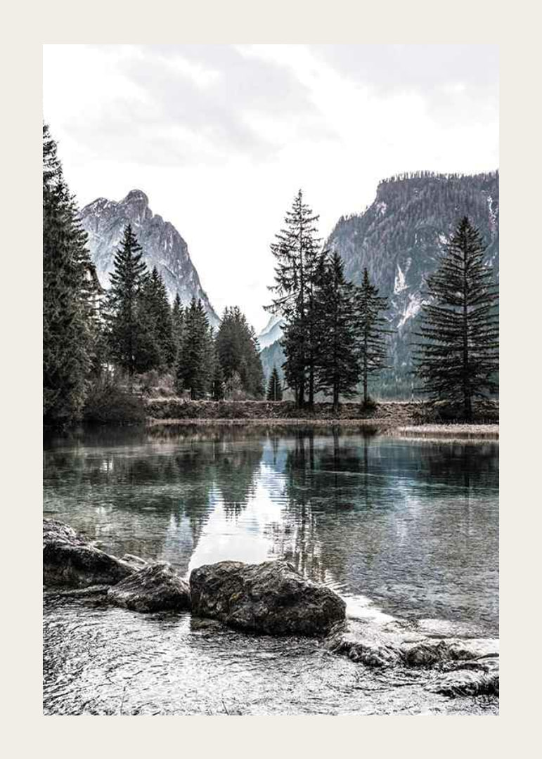 Photograph of alpine landscape with fir trees and clear lake-12