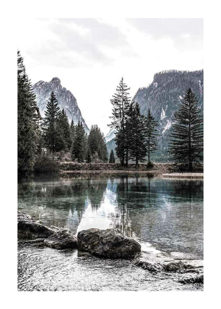 Photograph of alpine landscape with fir trees and clear lake-12