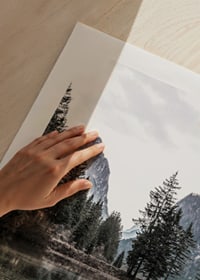 Photograph of alpine landscape with fir trees and clear lake-9