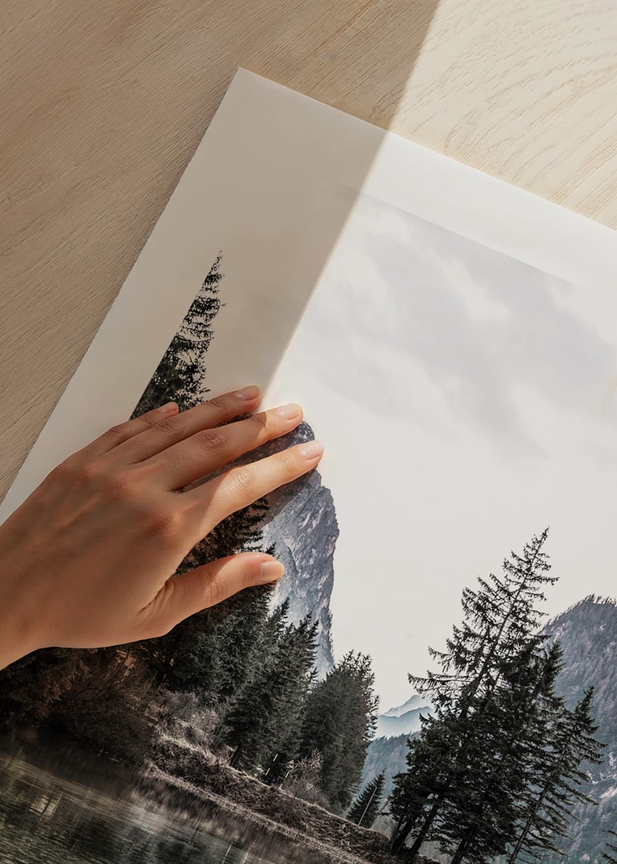 Photograph of alpine landscape with fir trees and clear lake-12