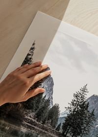 View On The Alps-5
