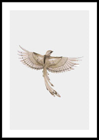Watercolor illustration of bird with spread wings in brown tones-0
