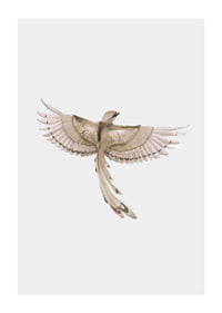 Watercolor illustration of bird with spread wings in brown tones-1