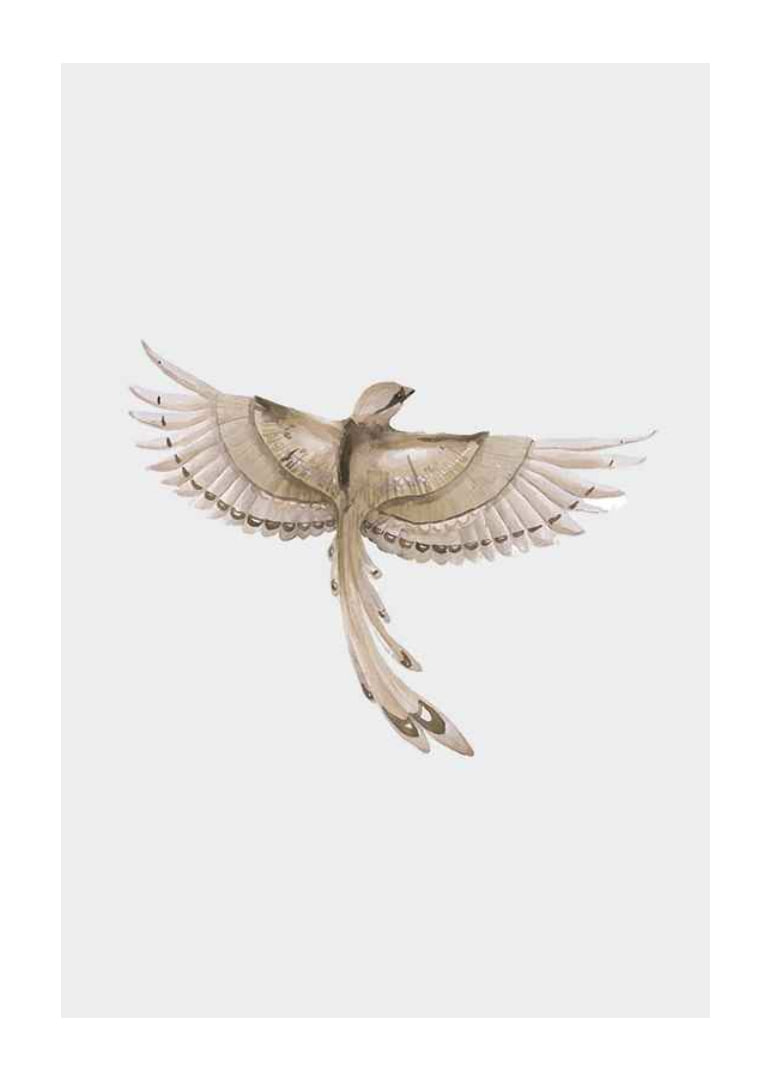 Watercolor illustration of bird with spread wings in brown tones-12
