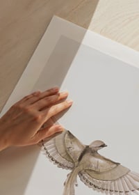 Watercolor illustration of bird with spread wings in brown tones-9
