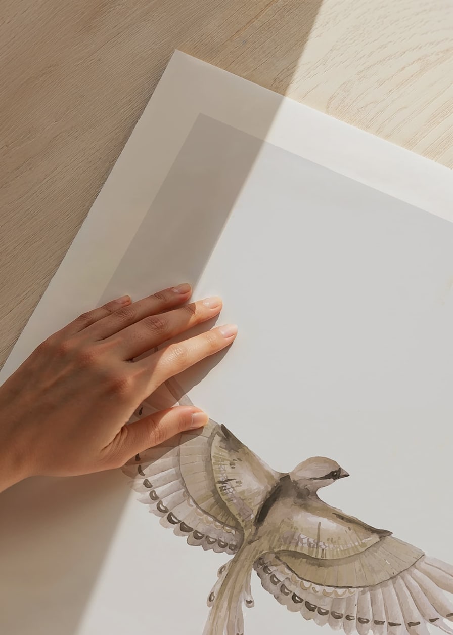 Watercolor illustration of bird with spread wings in brown tones-12