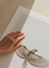 Watercolor Jay Bird-5