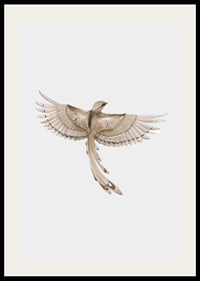 Watercolor illustration of bird with spread wings in brown tones-2