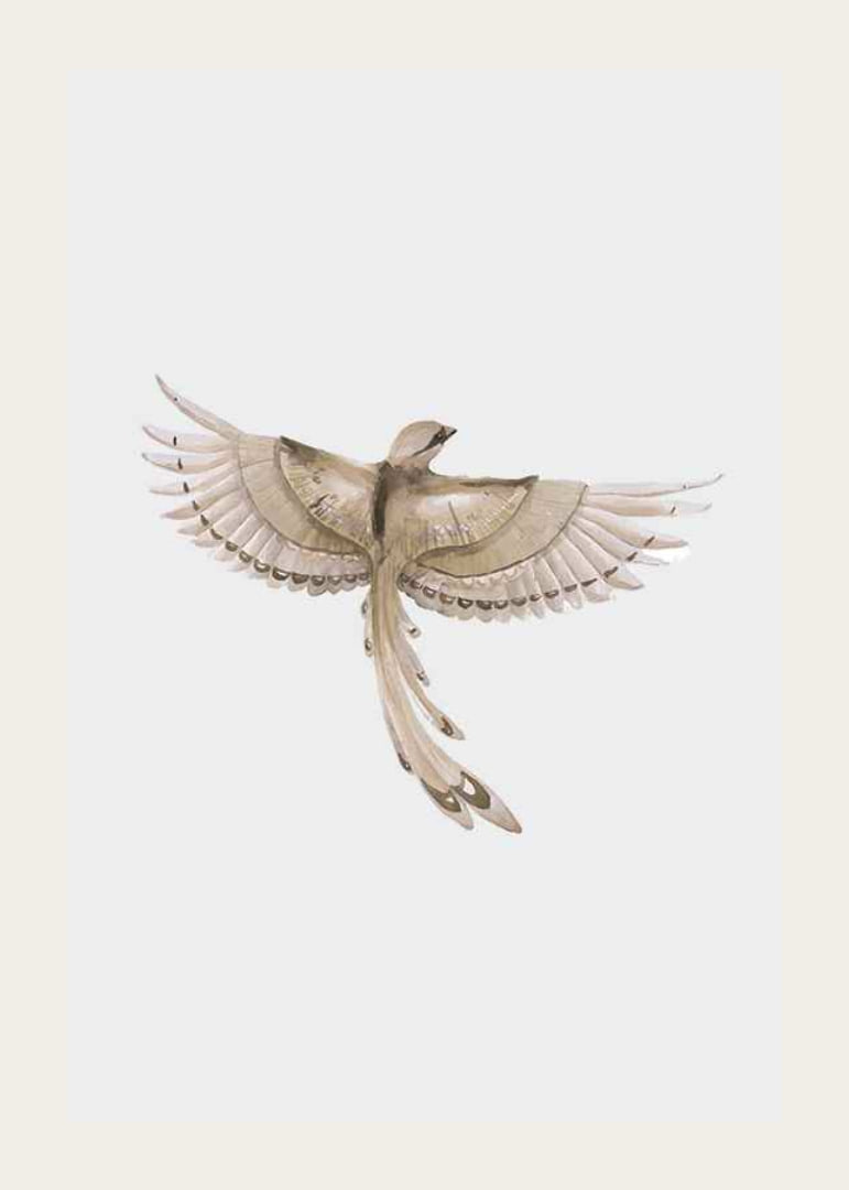 Watercolor illustration of bird with spread wings in brown tones-12