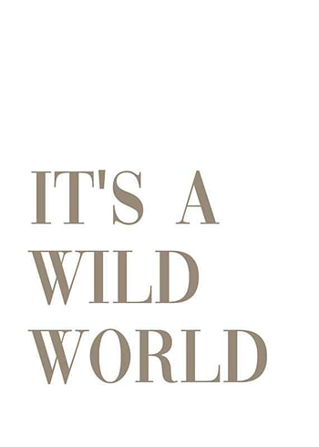 Plakat Wild World
