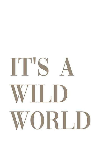 Plagát Wild World