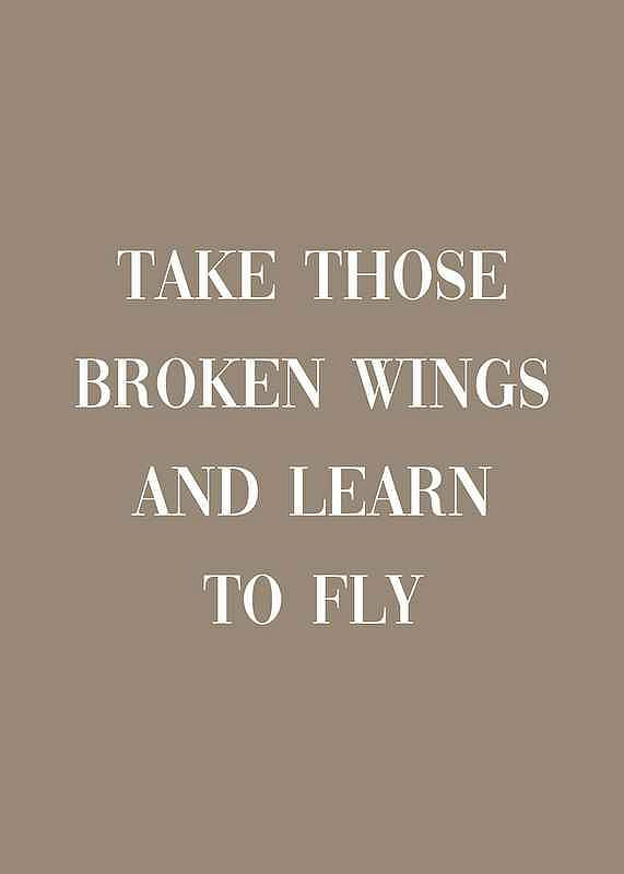 Broken Wings-12