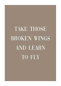 Broken Wings-1