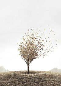 Abstract tree with golden leaves blowing away in the wind-7