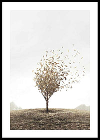 Blowing Away-0