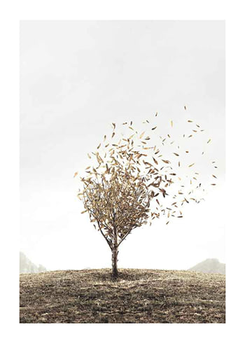 Plakat Blowing Away