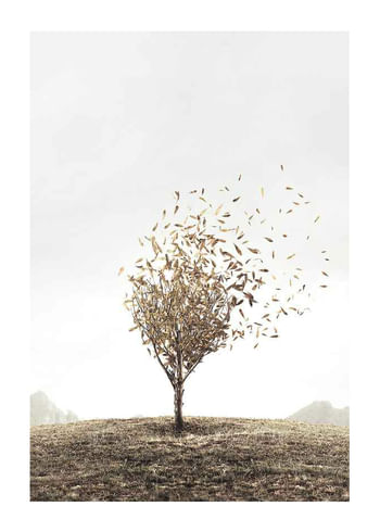 Poster Blowing Away