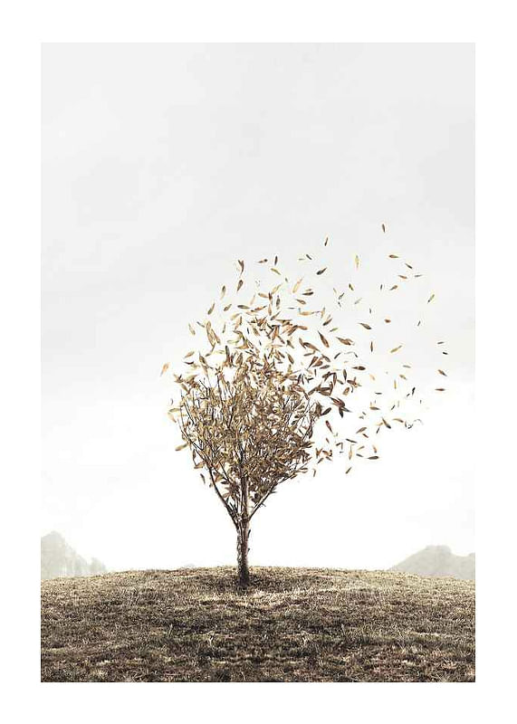 Blowing Away-12