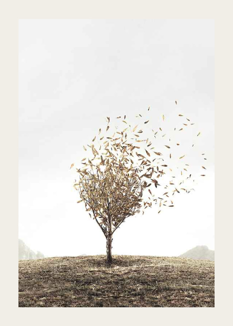 Abstract tree with golden leaves blowing away in the wind-12