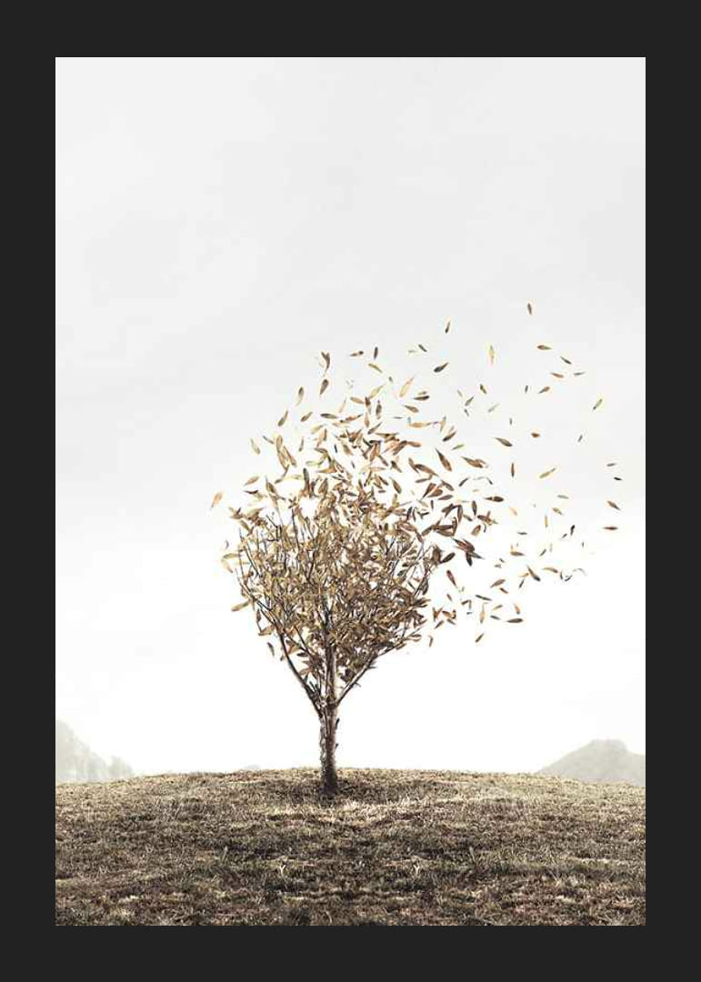 Abstrakt tre med gyldne blader som blåser bort i vinden-12