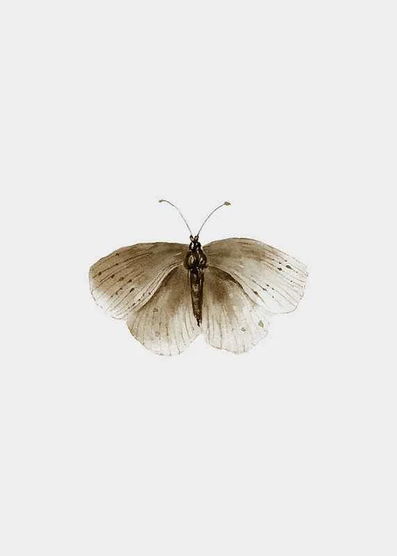 Watercolor illustration of brown butterfly against light background-12