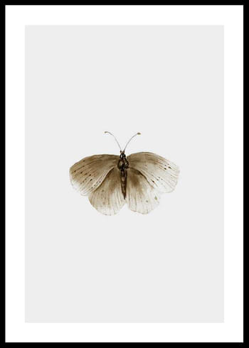 Poster Watercolor Butterfly