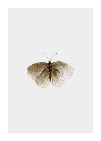 Poster Watercolor Butterfly