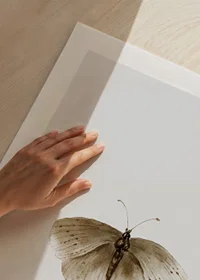 Watercolor illustration of brown butterfly against light background-9