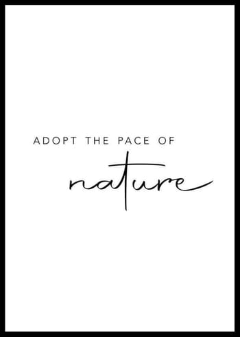 Poster Pace Of Nature