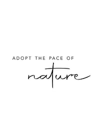 Pace Of Nature-1