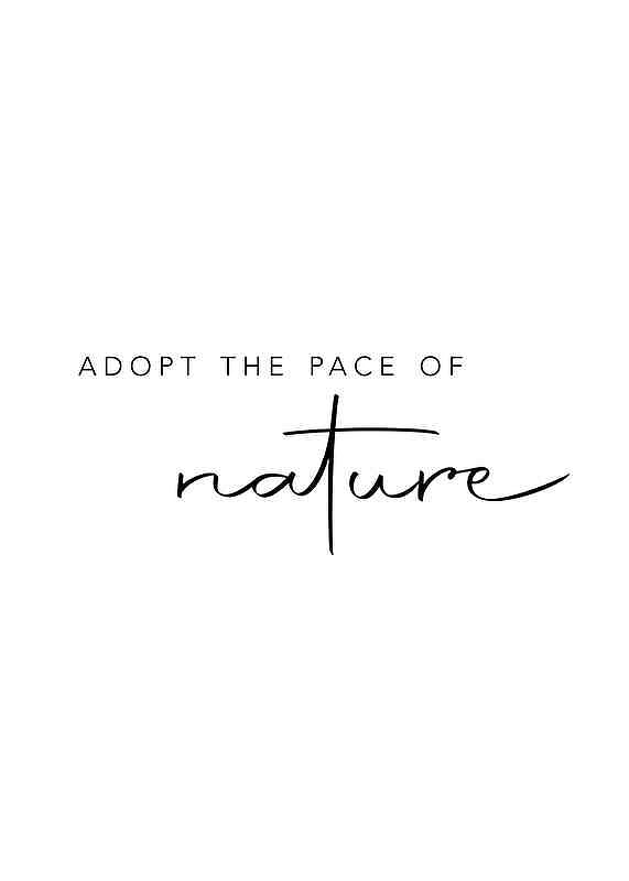 Plagát Pace Of Nature