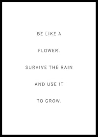 Minimalist quote text in black on white background-0