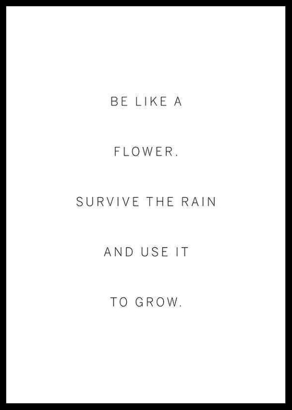 Minimalist quote text in black on white background-12
