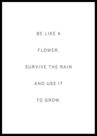 Like A Flower-0