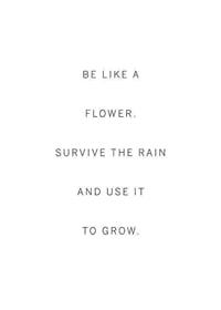 Minimalist quote text in black on white background-1