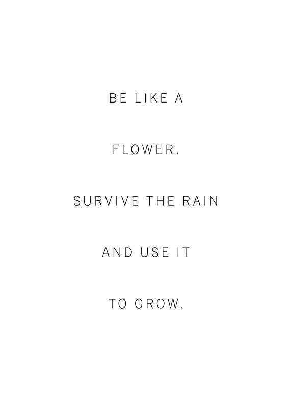 Juliste Like A Flower