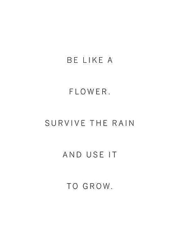 Affiche Like A Flower