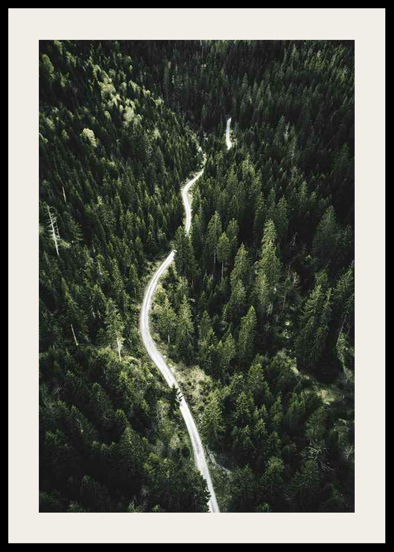 Aerial view of winding road through dense spruce forest in hilly terrain-12
