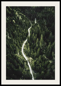 Luftfoto af snoet vej gennem tæt granskov i kuperet terræn-2