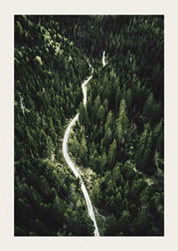 Aerial view of winding road through dense spruce forest in hilly terrain-3