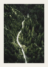 Luftfoto af snoet vej gennem tæt granskov i kuperet terræn-3