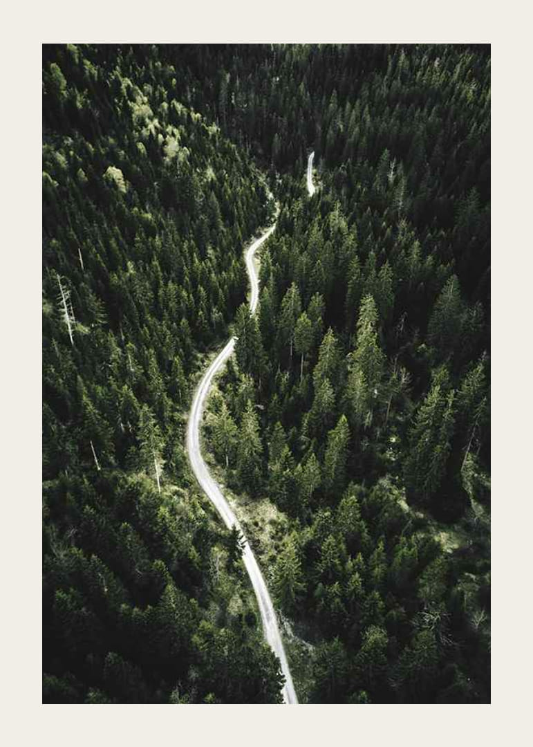 Luftfoto af snoet vej gennem tæt granskov i kuperet terræn-12