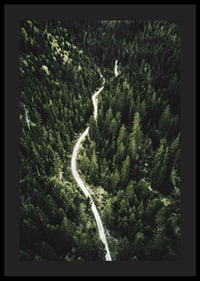 Aerial view of winding road through dense spruce forest in hilly terrain-4