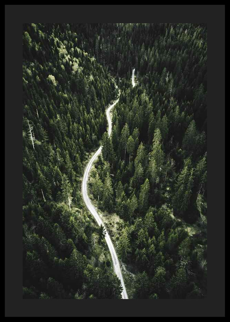 Aerial view of winding road through dense spruce forest in hilly terrain-12