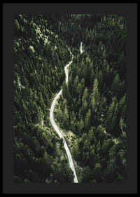 Luftfoto af snoet vej gennem tæt granskov i kuperet terræn-4