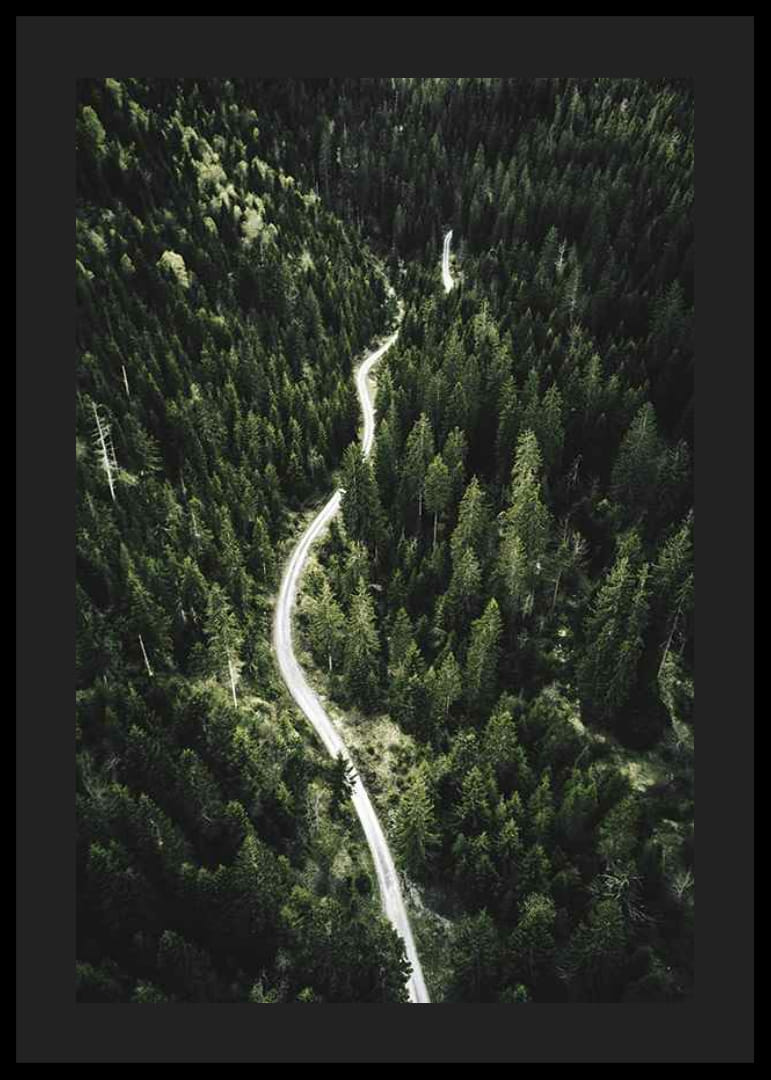 Luftfoto af snoet vej gennem tæt granskov i kuperet terræn-12