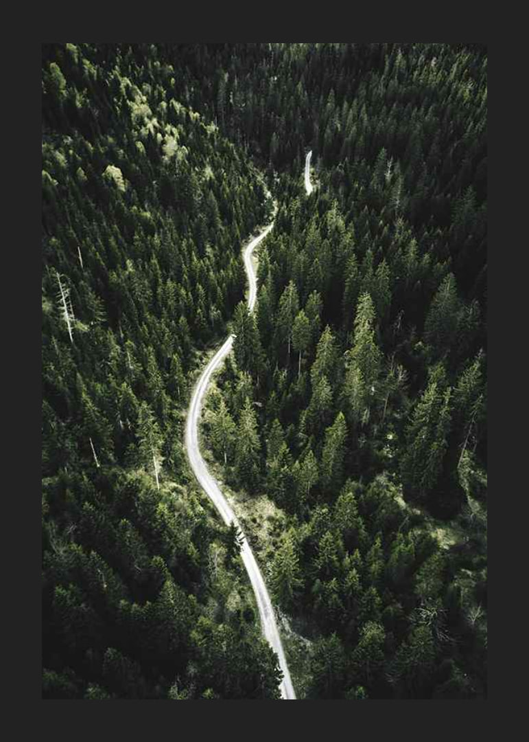 Aerial view of winding road through dense spruce forest in hilly terrain-12