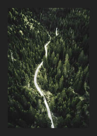 Luftfoto af snoet vej gennem tæt granskov i kuperet terræn-5