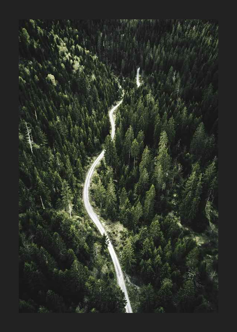 Luftfoto af snoet vej gennem tæt granskov i kuperet terræn-12